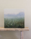 Cornflowers in the Field | 20x20"