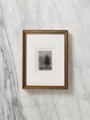 Indigo Pine | 6x8"