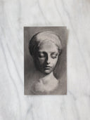 Cellini Portrait Bust Study no.2 | 5.5x8"
