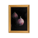 Fig Study no.1 | 5x7