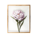 Pink Peony | 8x10