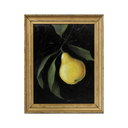 Pear Study 3 | 6x8