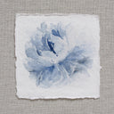 Blue Peonies no.4 | 5x5