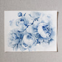 Blue Peonies no.16 | 11x14
