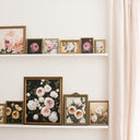 Ivory Garden Roses no.4 | 9x12"