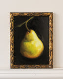 Pear Study no.11 | 5x7