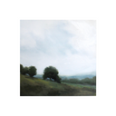 Orchard | 12x12