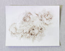 Sepia Peonies no.2 | 8x10