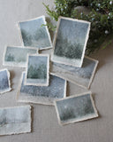 The Holiday Collection