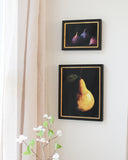 BOTANICAL PRINTS