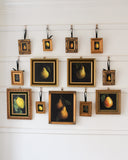 Holiday Botanicals