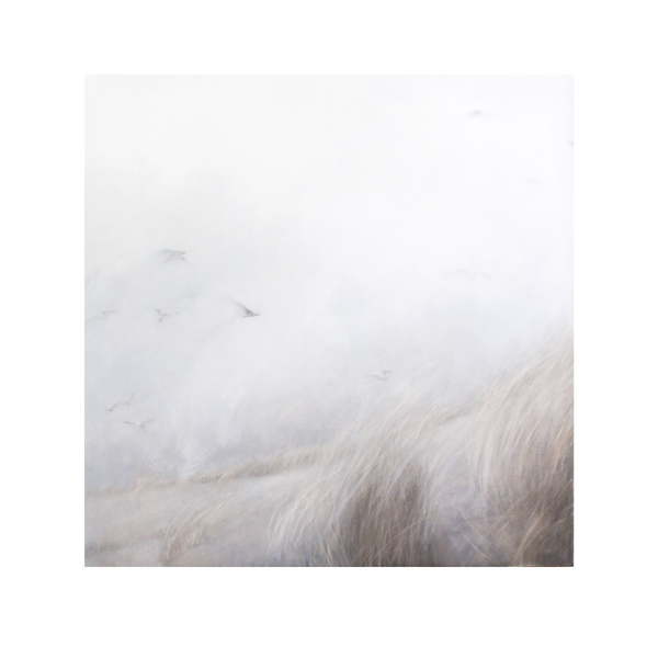 Seagulls in the Wind | 36x36"