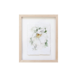 Garden Rose no.11 | Watercolor on Paper | 5x7"