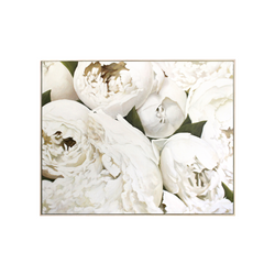 White Peonies | Oil on Canvas | 48x60"