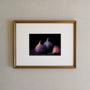Three Figs Art Print
