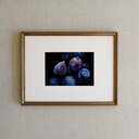 Bowl of Figs Art Print
