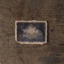 Secret Garden | 6x8"