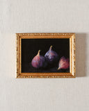 Vintage Framed Print: Fig Study | 5x7"