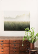 Sun-tinged Morning | 30x40"