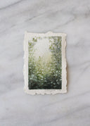 Fairyland | 6x8" or 8x10"