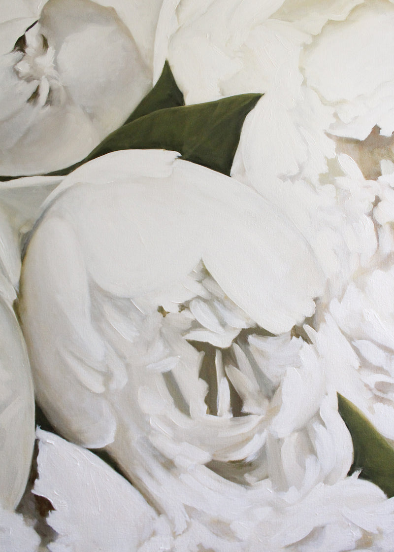 White Peonies | Oil on Canvas | 48x60"