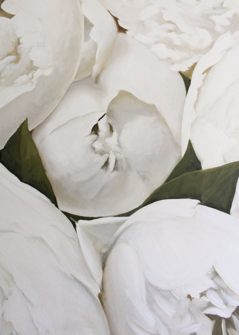 White Peonies | Oil on Canvas | 48x60"