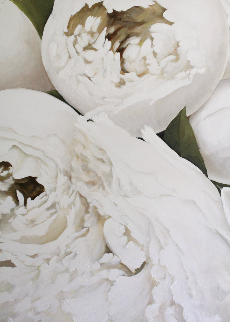 White Peonies | Oil on Canvas | 48x60"