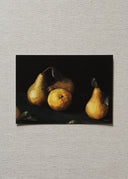 Harvest Pears Art Print