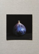 Fig Study II Art Print