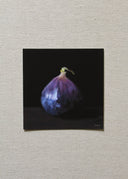 Fig Study I Art Print