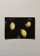The Lemons Art Print