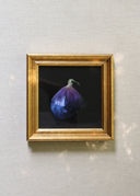 Fig Study I Art Print