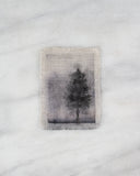 Indigo Pine | 6x8"