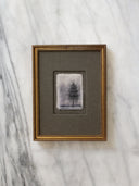 Indigo Pine | 6x8"