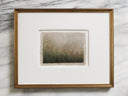 Flowers in the Long Grass | 11x14"