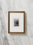 Indigo Pine | 6x8"