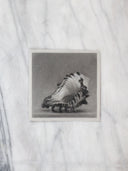 Shell Study no.1 | 6x6"