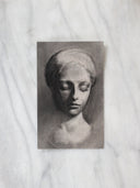 Cellini Portrait Bust Study no.2 | 5.5x8"