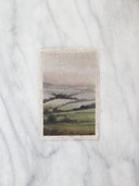 First Blush of Spring | 11x14"