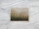 Flowers in the Long Grass | 11x14"