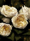 In Stock: Ivory Roses Print
