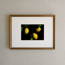 The Lemons Art Print