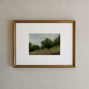 The Thicket Landscape Art Print