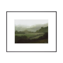 In Stock: Black Forest Print
