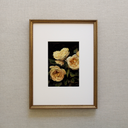 Butter Yellow Roses Art Print