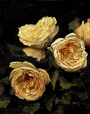 Butter Yellow Roses Print