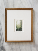 Fairyland | 6x8" or 8x10"