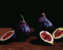 Fig Study no.10 Print