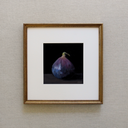 Fig Study I Art Print