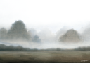 Forest of Dreams Landscape Art Print